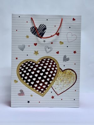 LARGE GIFT BAG