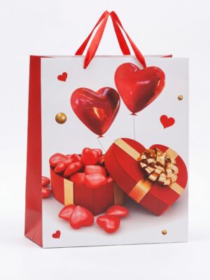 XYS1954XL LOVE GIFT BAG